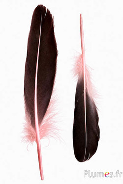Anatra - 18-20 cm, sinistra e destra - salmone-rosa-nero